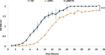 Production of the Extremolyte Cyclic 2,3-Diphosphoglycerate Using Thermus thermophilus as a Whole-Cell Factory